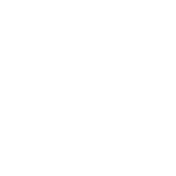 Fifth Sense white logo